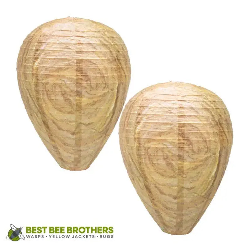 Best Bee Brothers Wasp Deterrent Hives 2 Decoy Nests for Wasps & Yellowjackets Outdoor Garden Wood Protection Natural Wax Paper Collapsible Design